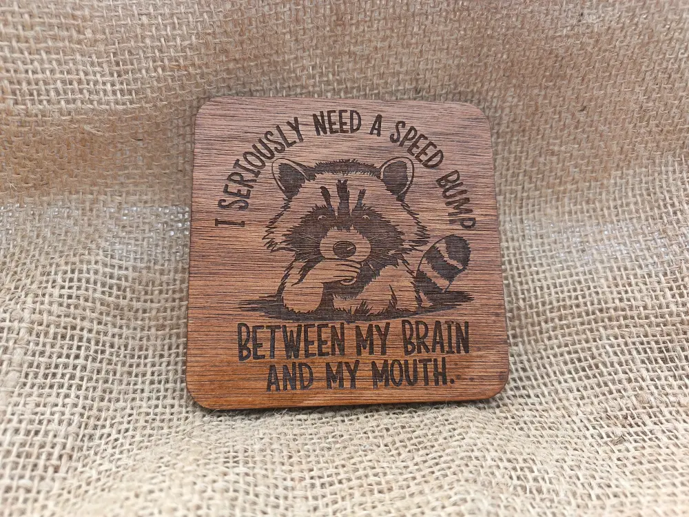 Funny Racoon Coaster